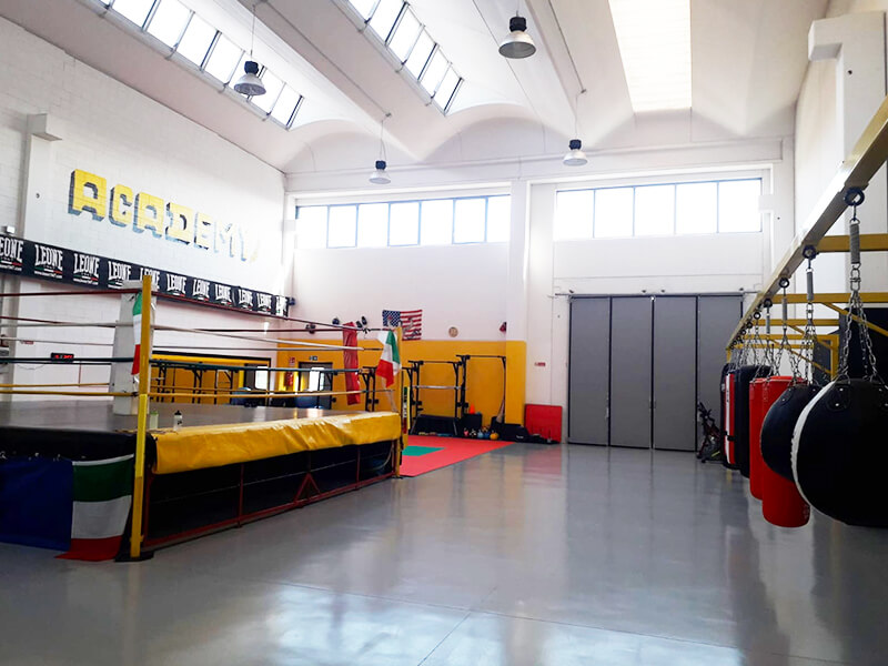 La palestra